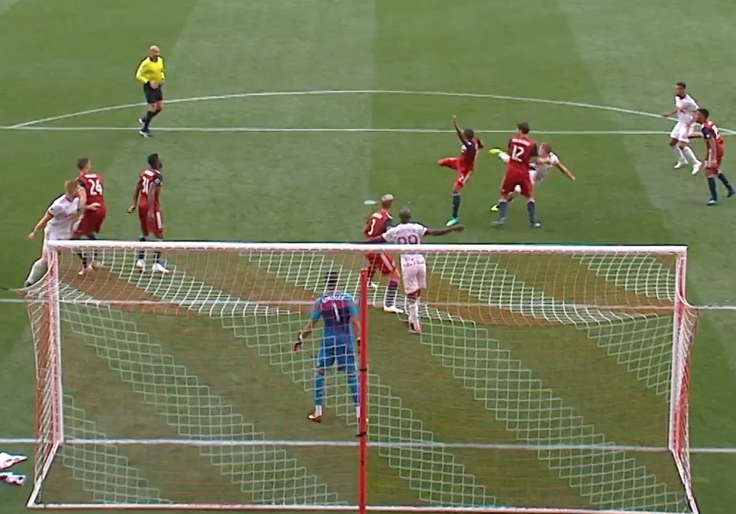 NYRB line of vision.jpeg