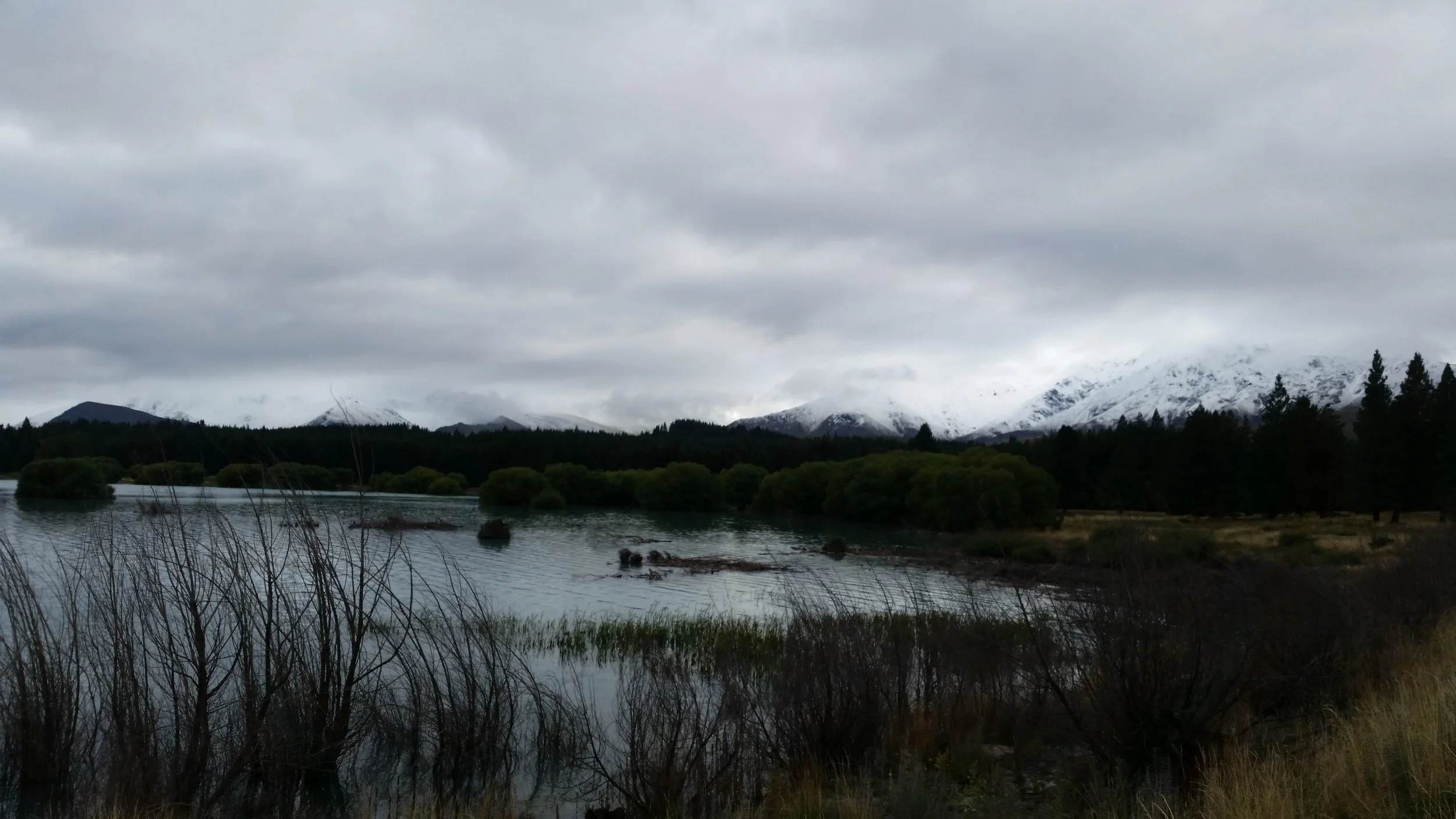 20180222_085354.jpg