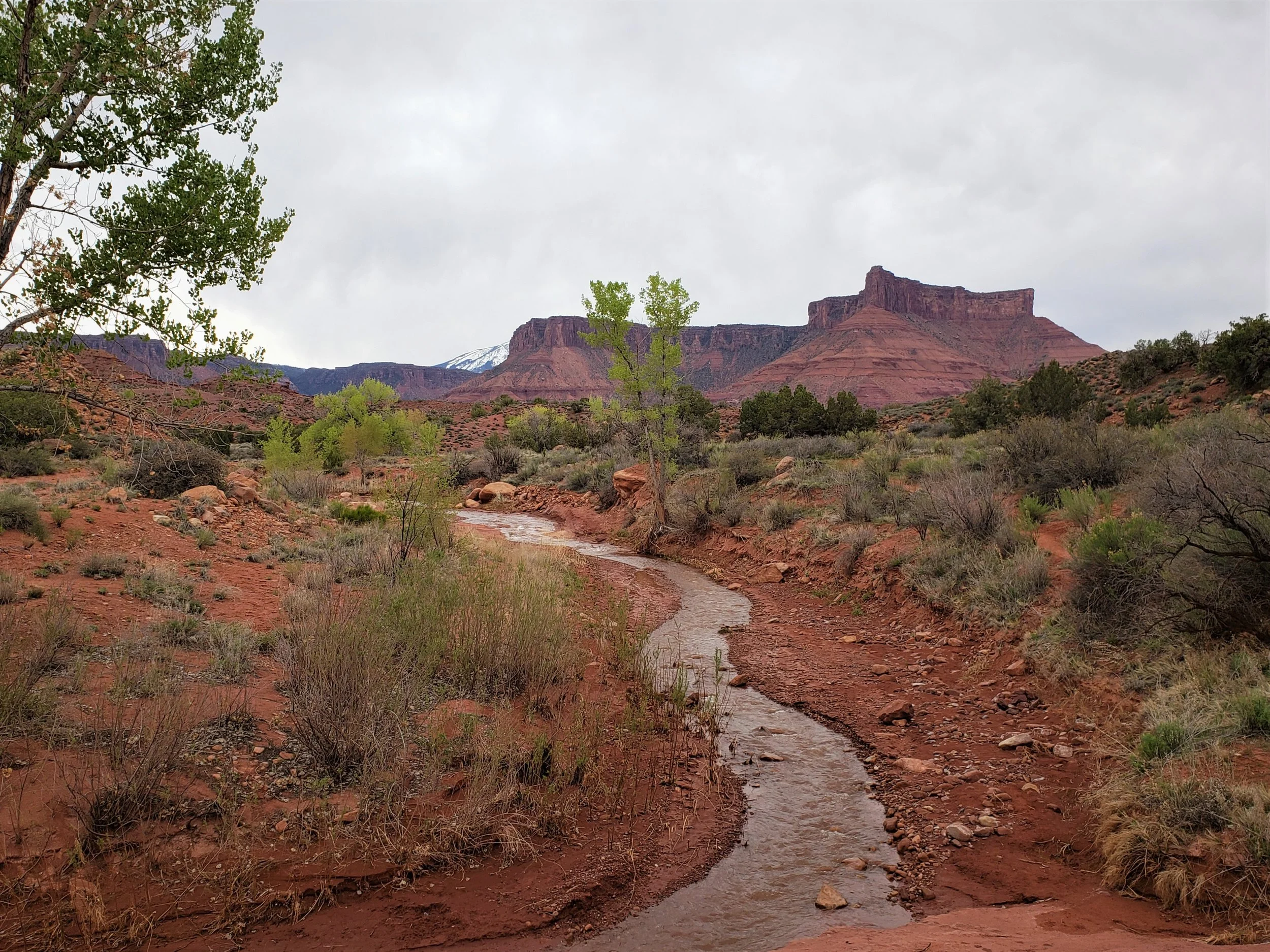 20190420_102641.jpg