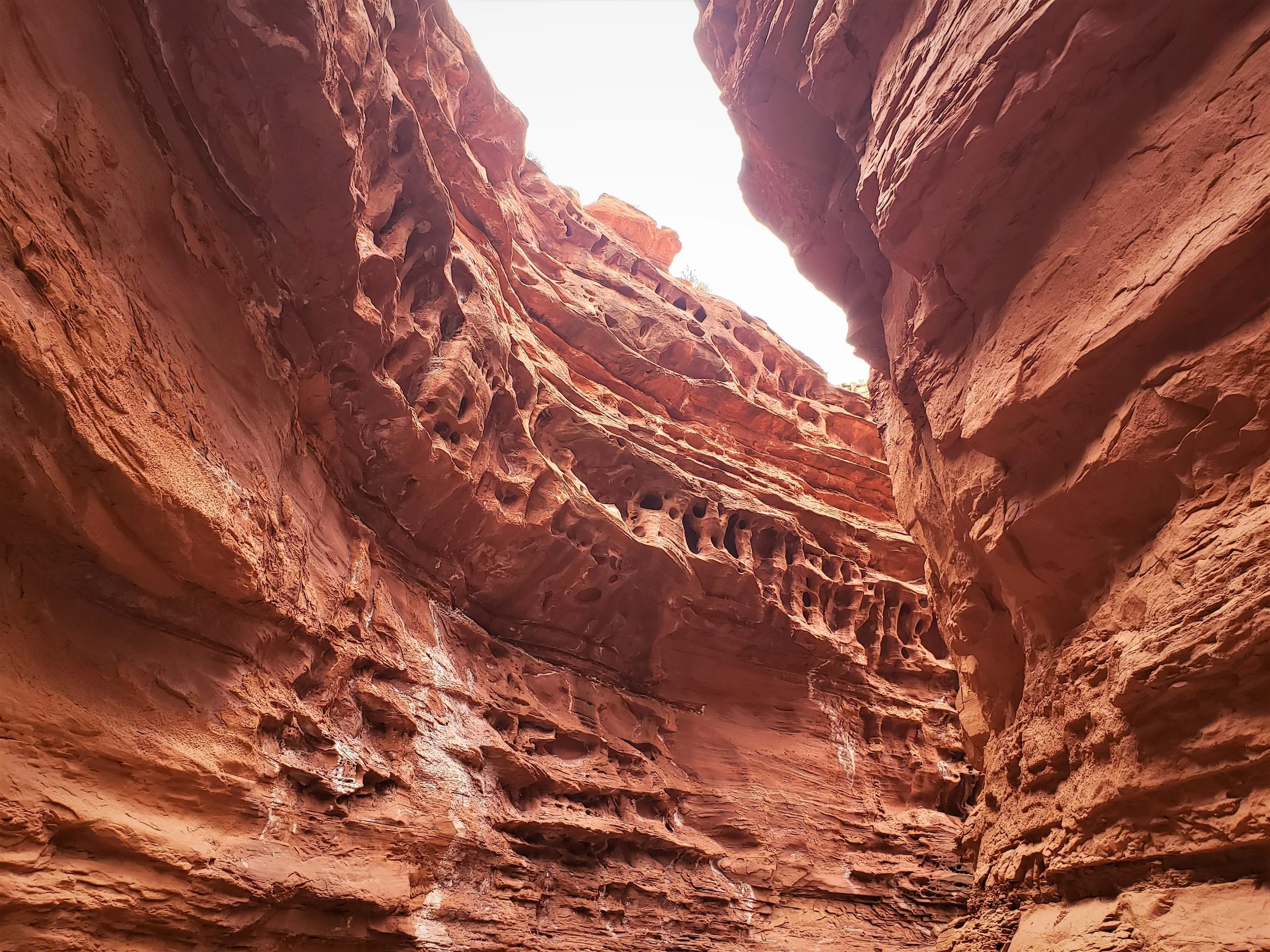 20190420_122345.jpg
