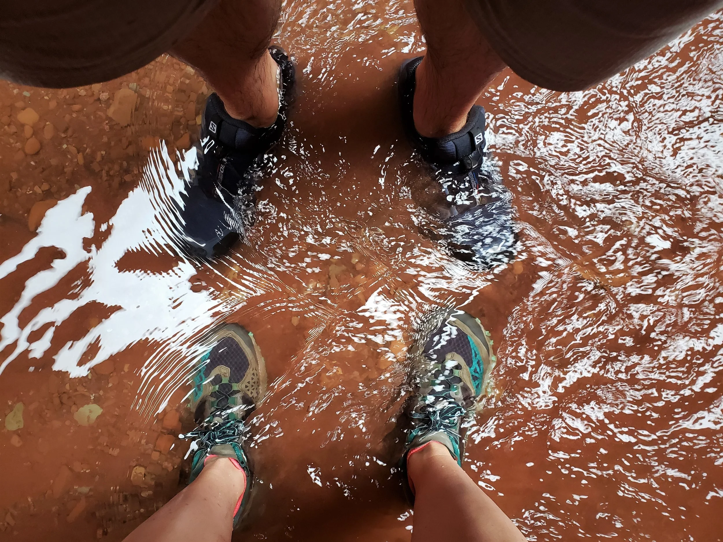 20190420_123514.jpg