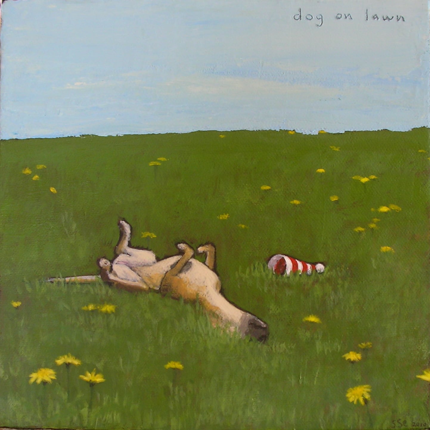 dog on lawn