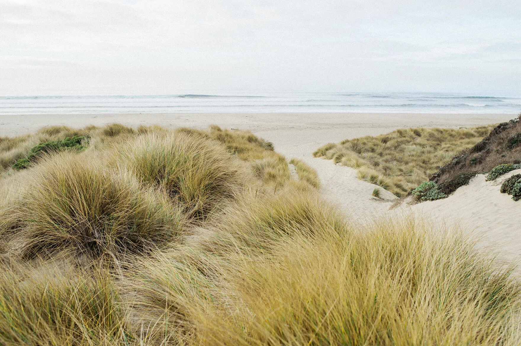 Point Reyes California1.jpg