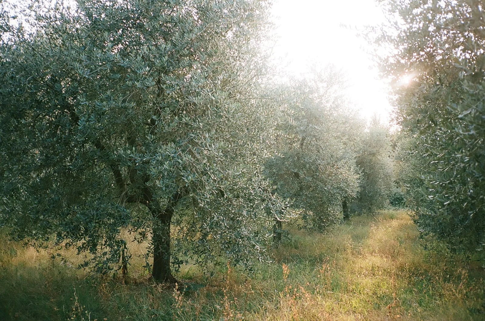 Lake Garda Northern Italy 2021 by-Christina-Lilly-Photography 00150546.JPG
