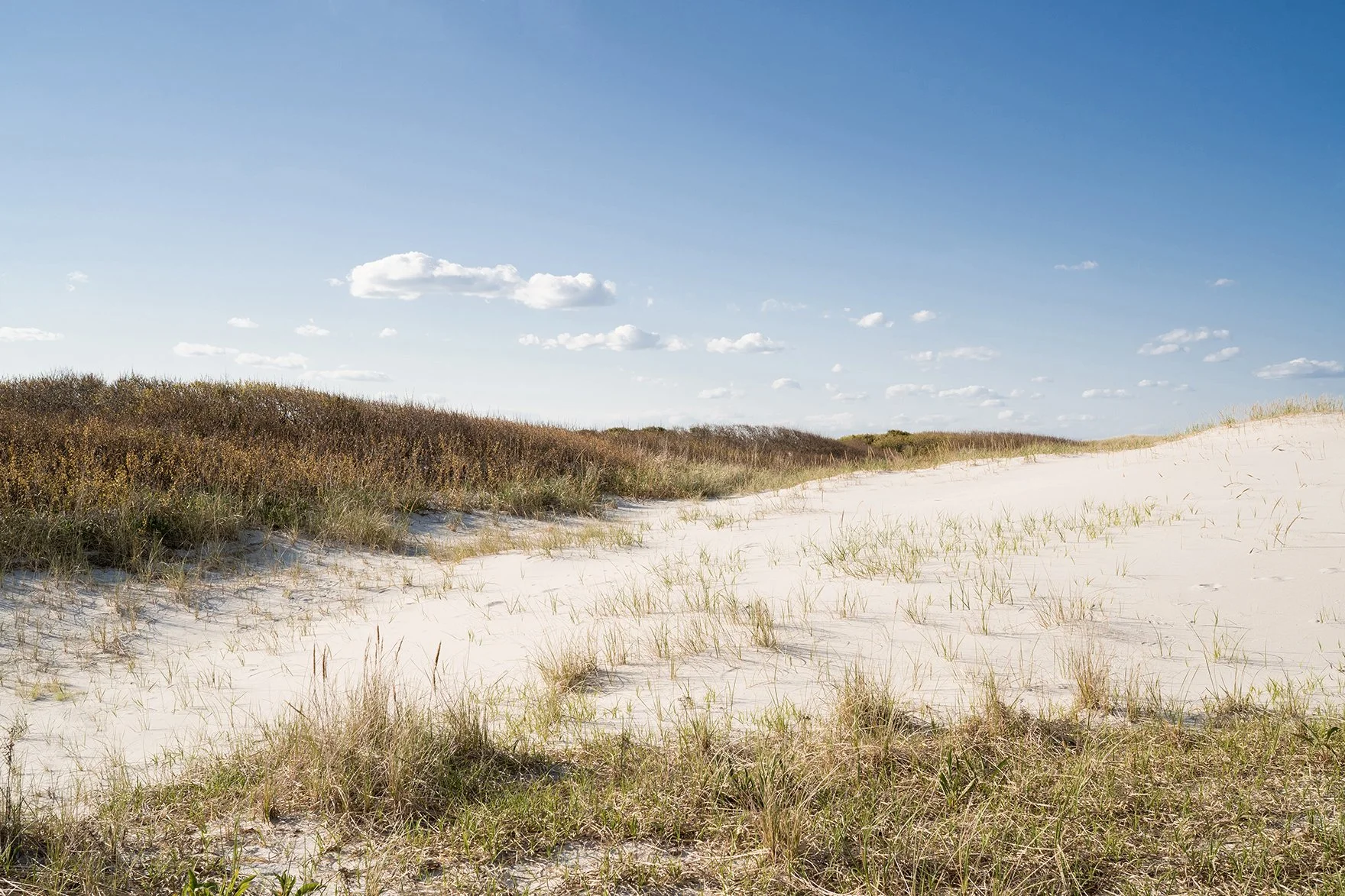 Into the Dunes by Christina Lilly.jpg