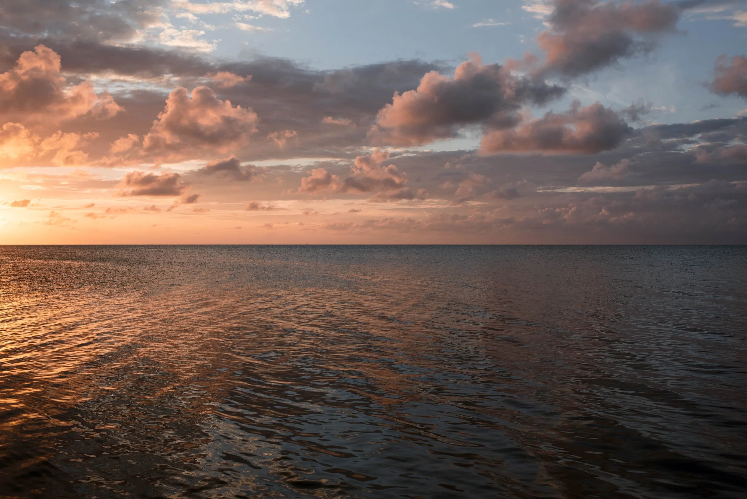 T + K-Islamorada-Wedding-by-Christina Lilly Photography 0016075.jpg