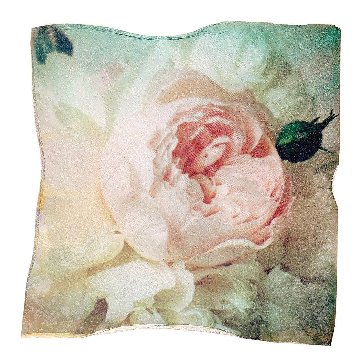 ROSE print 20X20 .jpg