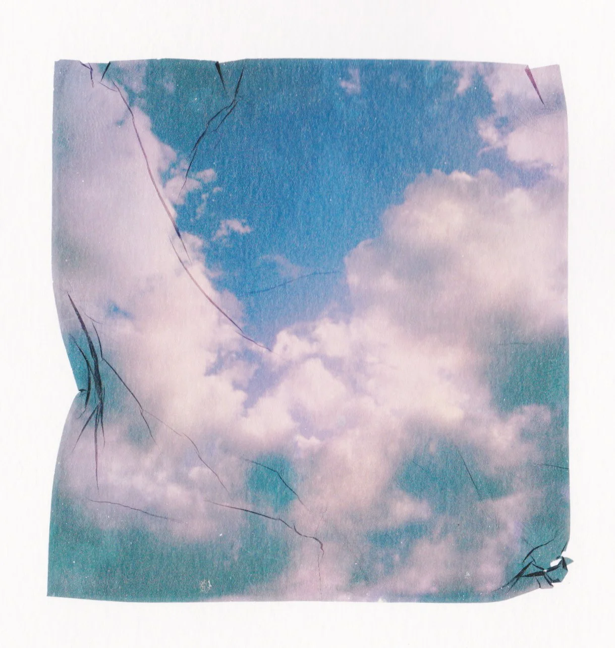 Polaroid Lifts 2024 5.jpeg