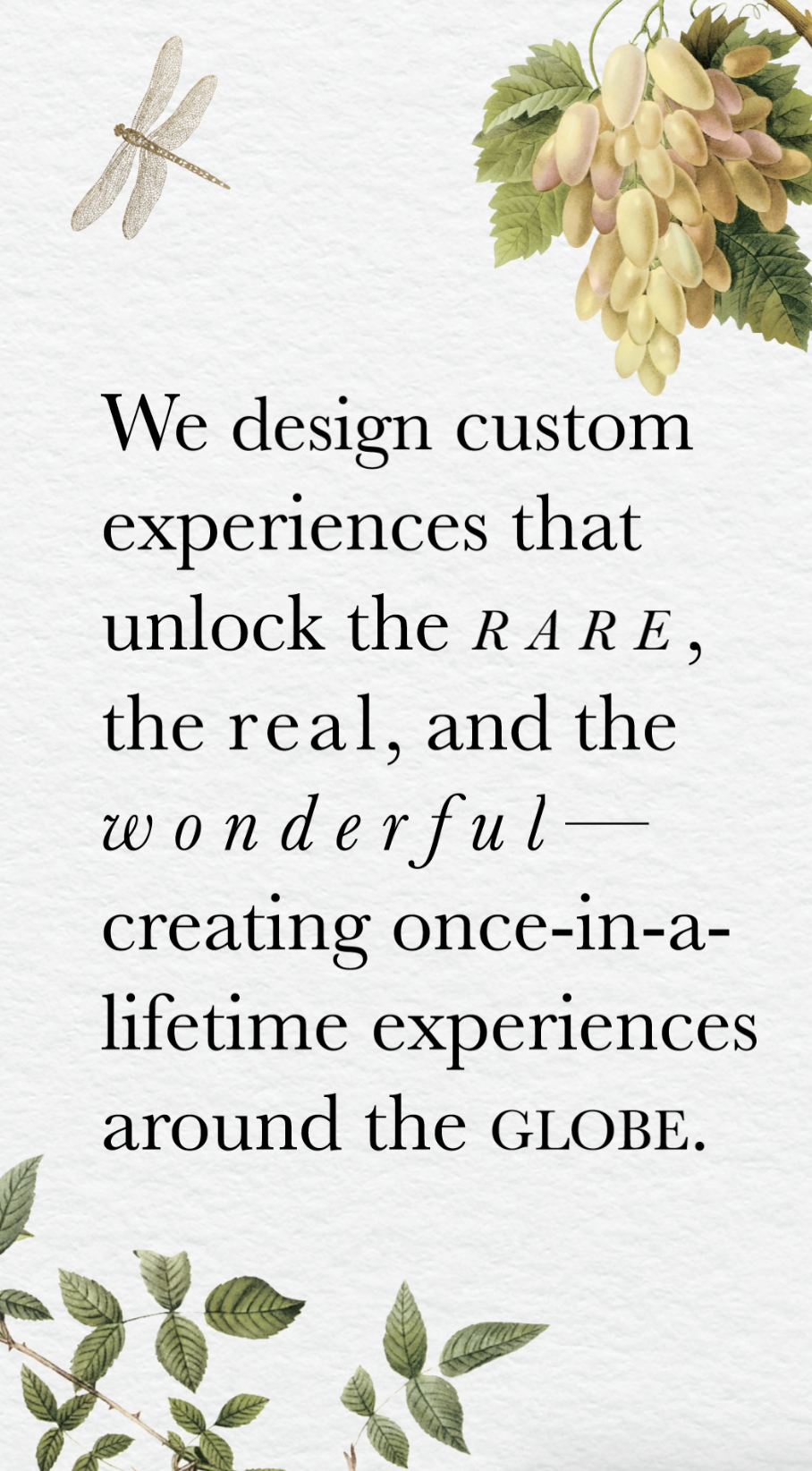 image3.png