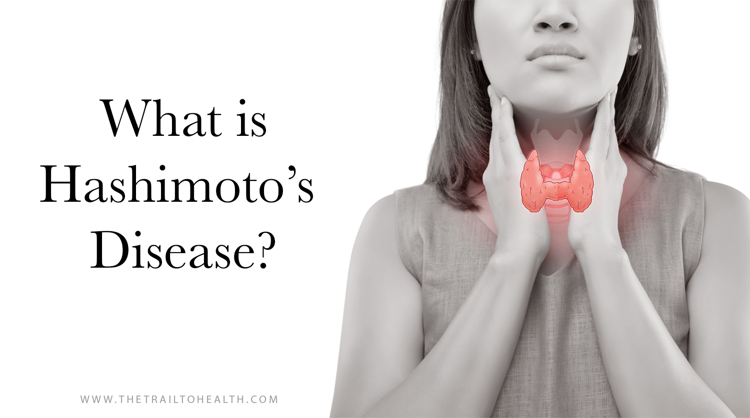 What Is Hashimoto's Disease?