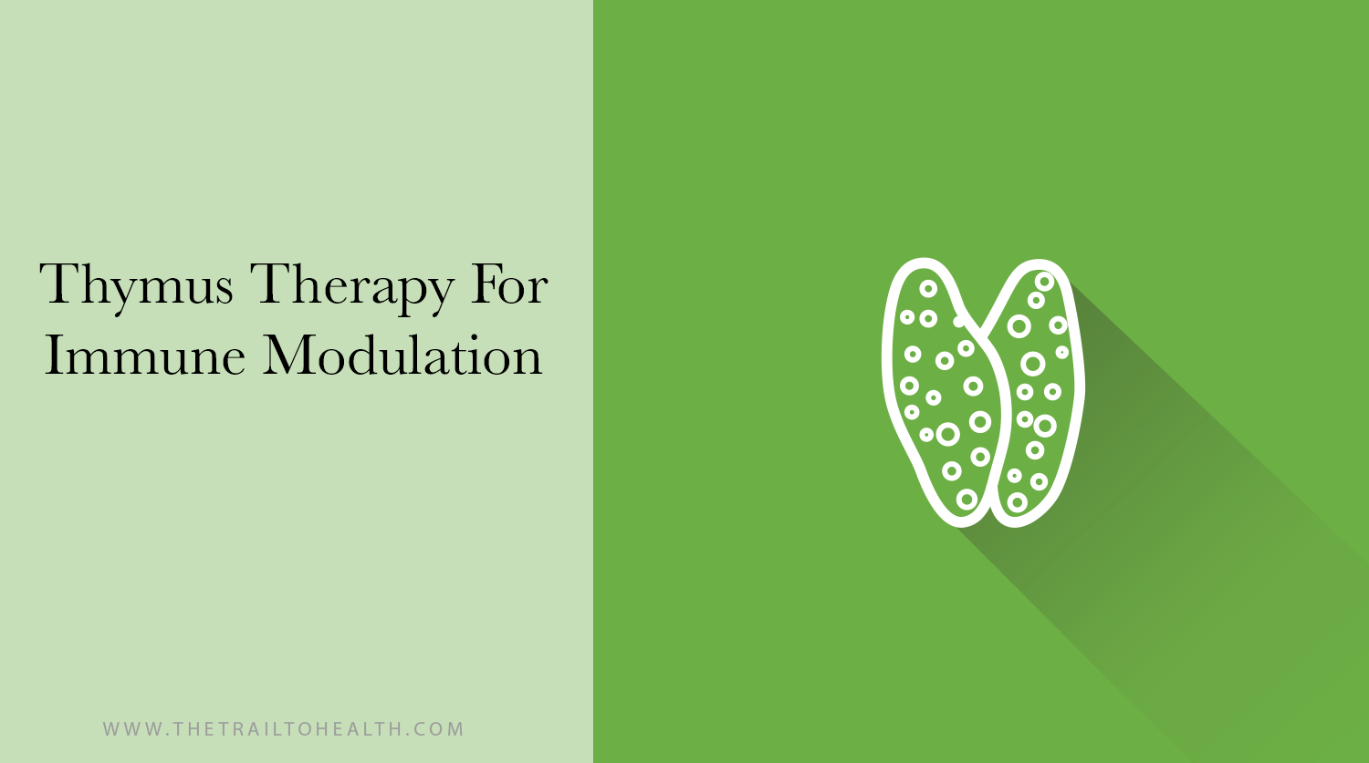 Thymus Therapy For Immune Modulation