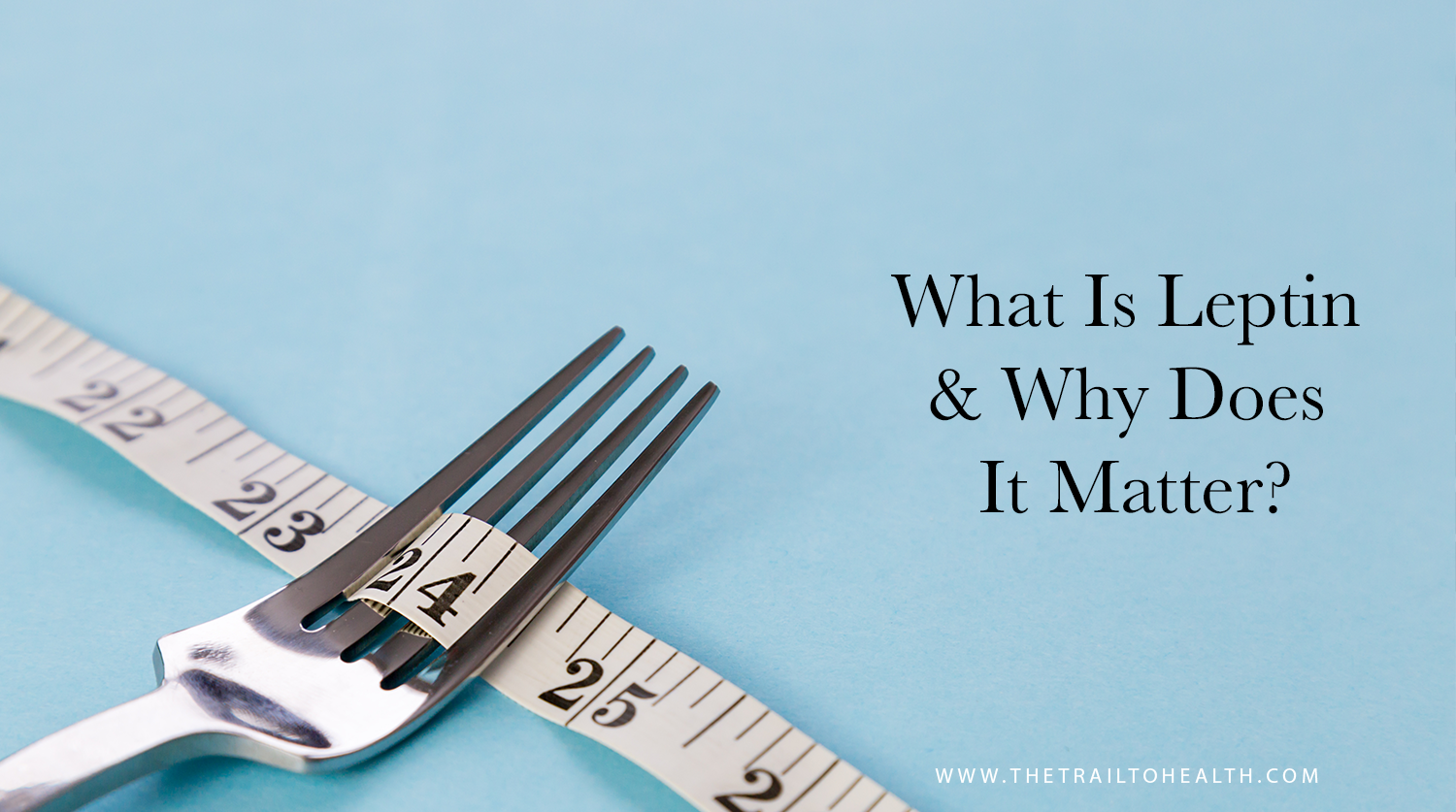 What Is Leptin And Why Does It Matter?