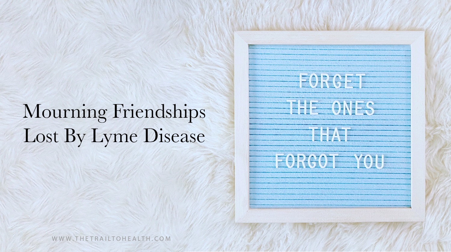 MourningFriendshipsLymeBlog.png