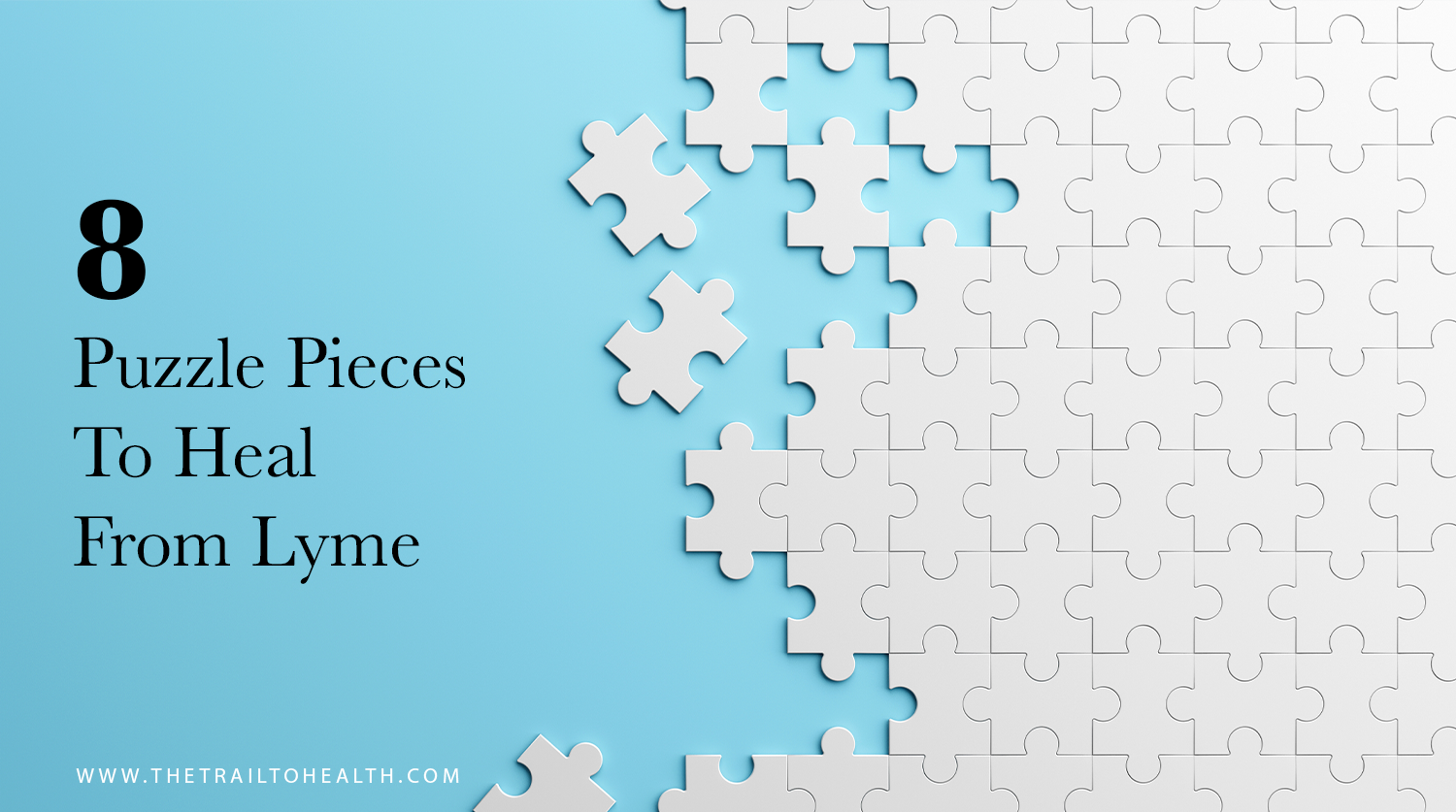 SixPuzzlePiecesLymeBlog.png