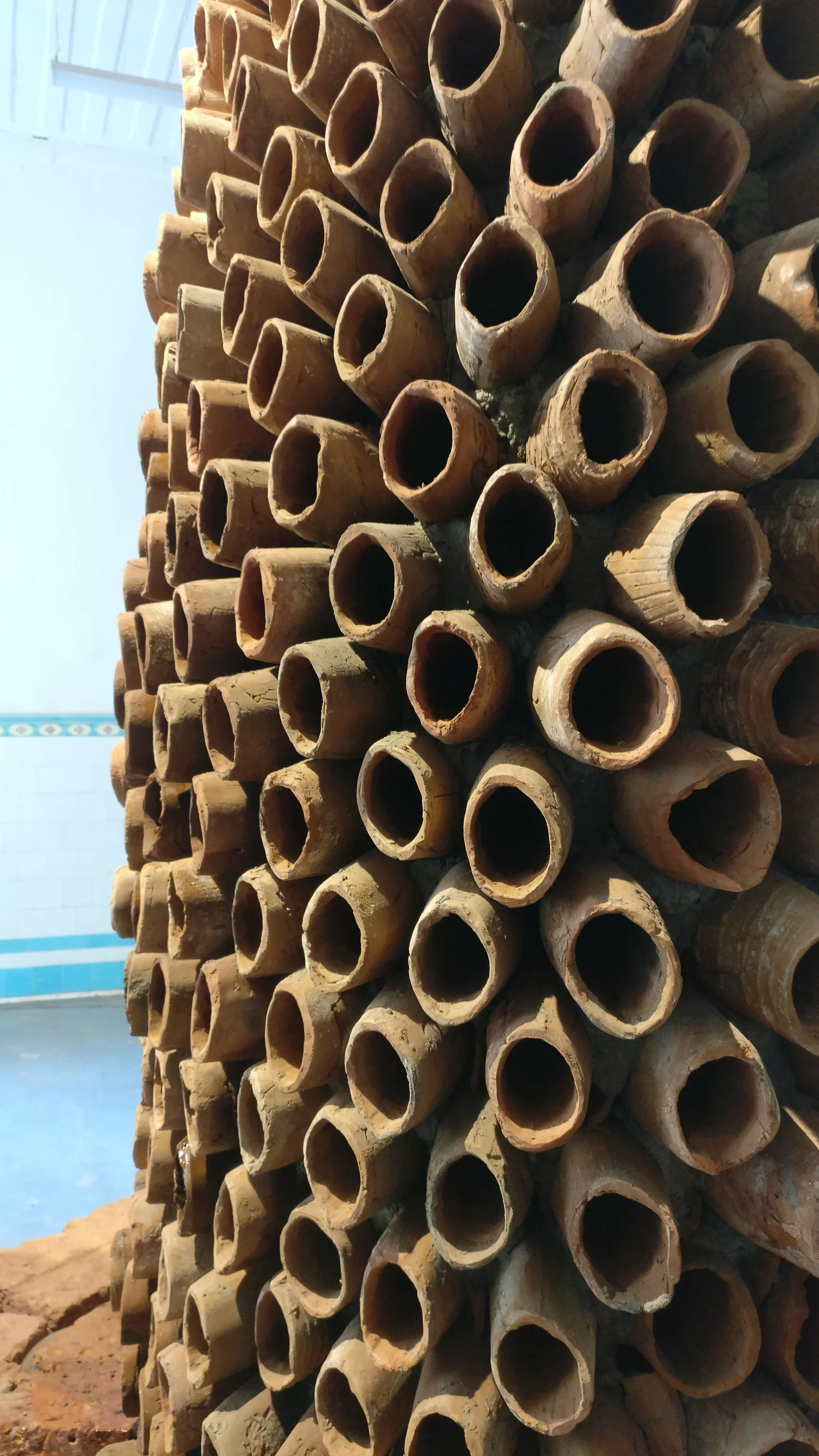 Coolant Coral Ant Studio