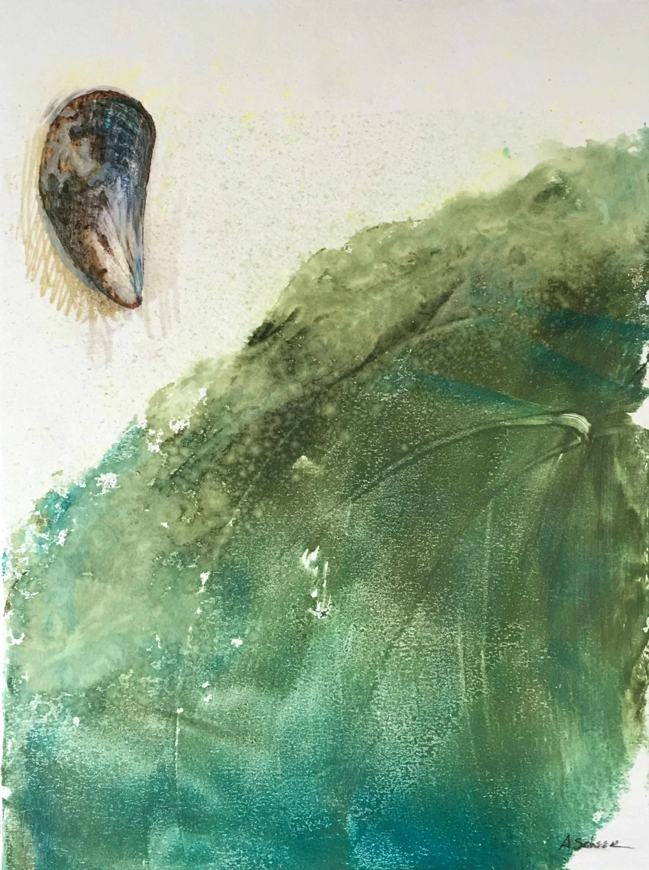 One mussel