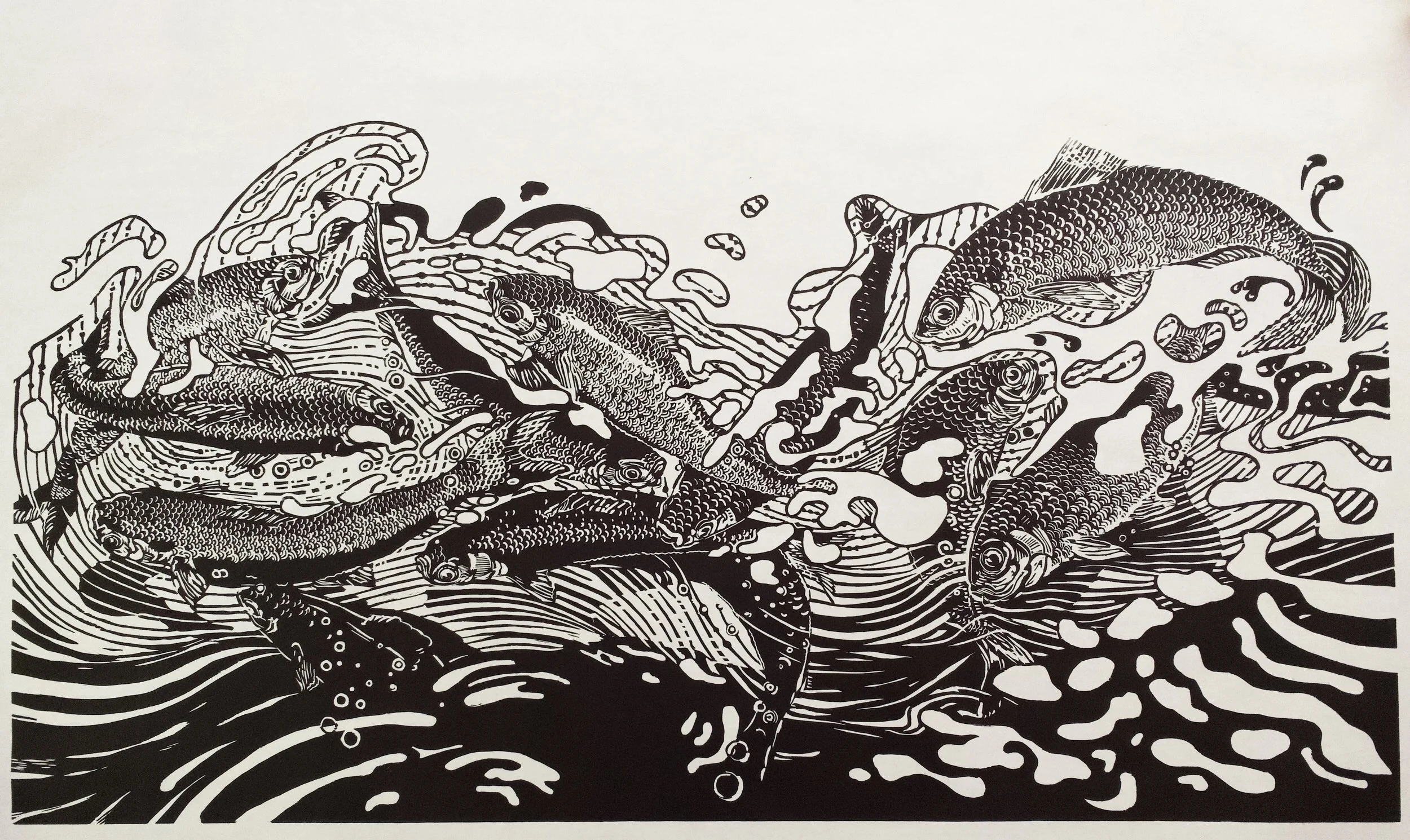 Alewives spawning run