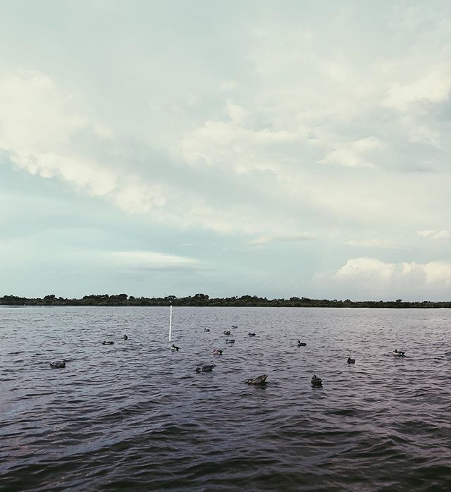 Here&rsquo;s hoping your weekend views looked a little something like this 😬 How is teal season treating you? 🦆 #SaintHugh #WomenWhoHunt