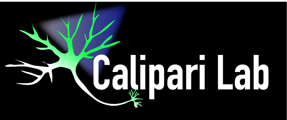 Calipari Lab