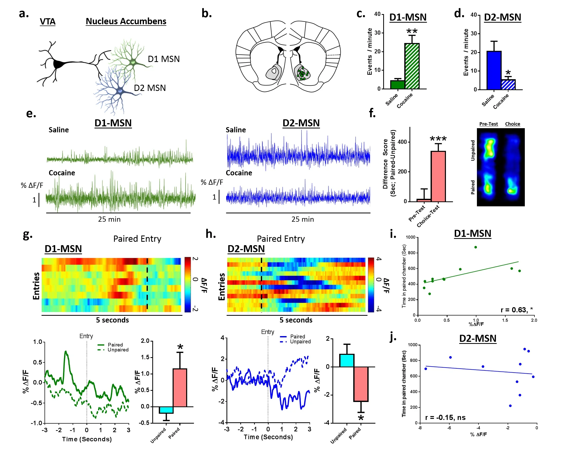Figure 2. Calipari et al., PNAS, 2016