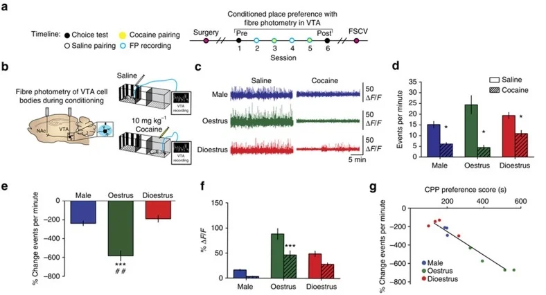 Figure 2. Calipari et al., Nature Communications, 2017; VTA cell body recordings
