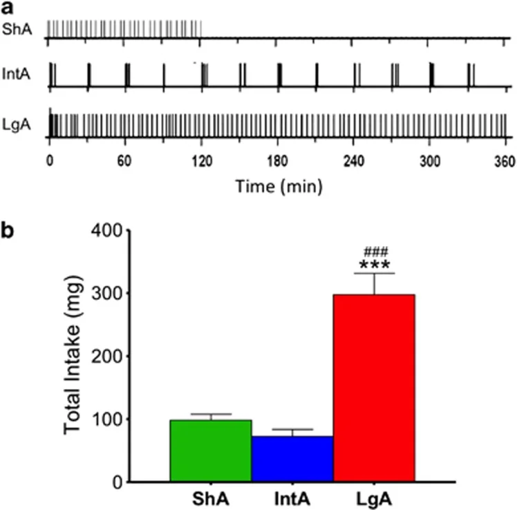 Figure 1. Calipari et al., Neuropsychopharmacology, 2013