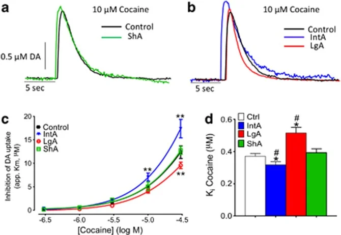 Figure 3. Calipari et al, Neuropsychopharmacology, 2013