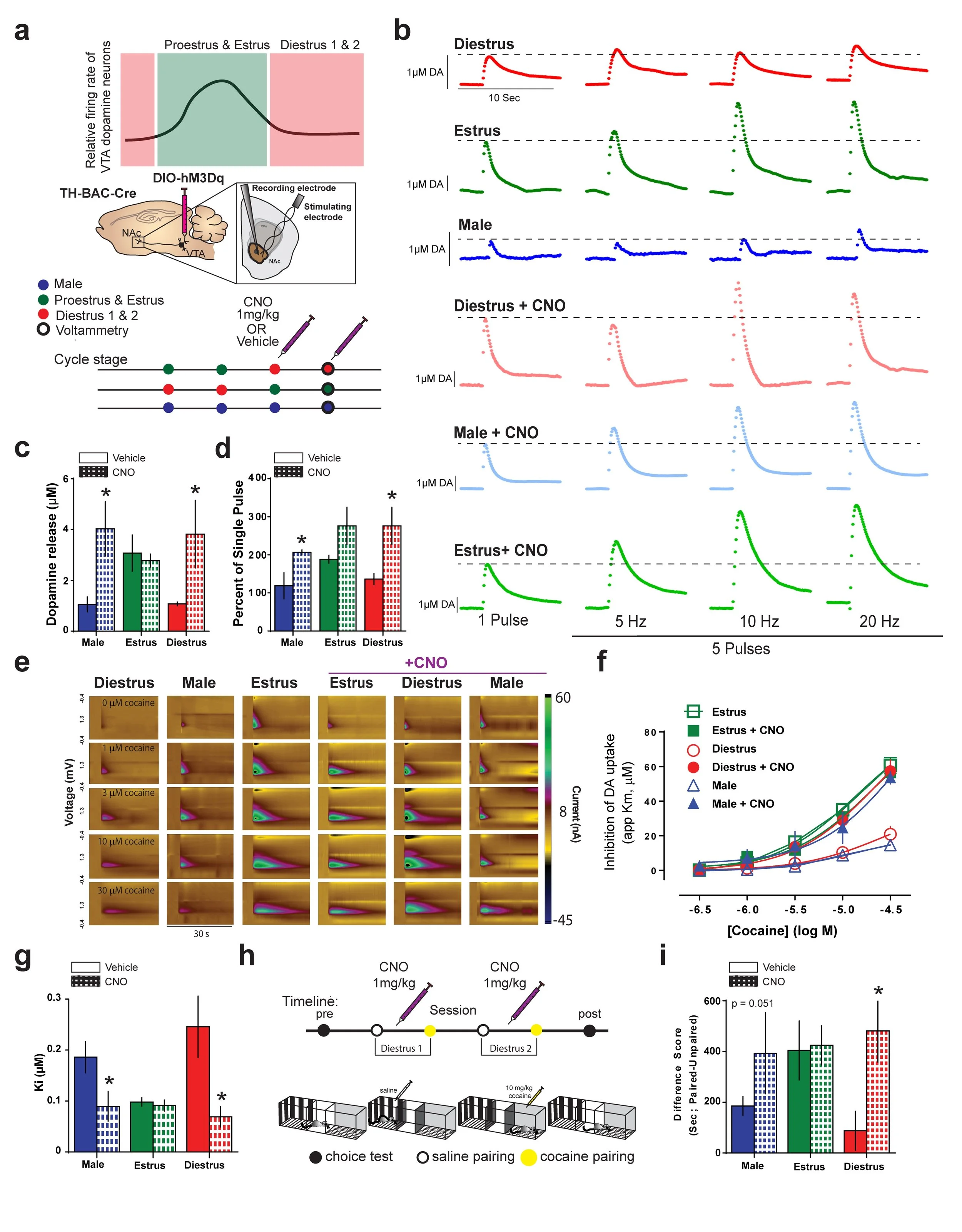 Figure 5. Calipari et al., Nature Communications, 2017