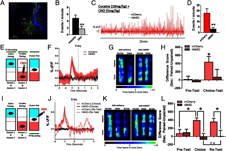 Figure 4. Calipari et al., PNAS, 2016