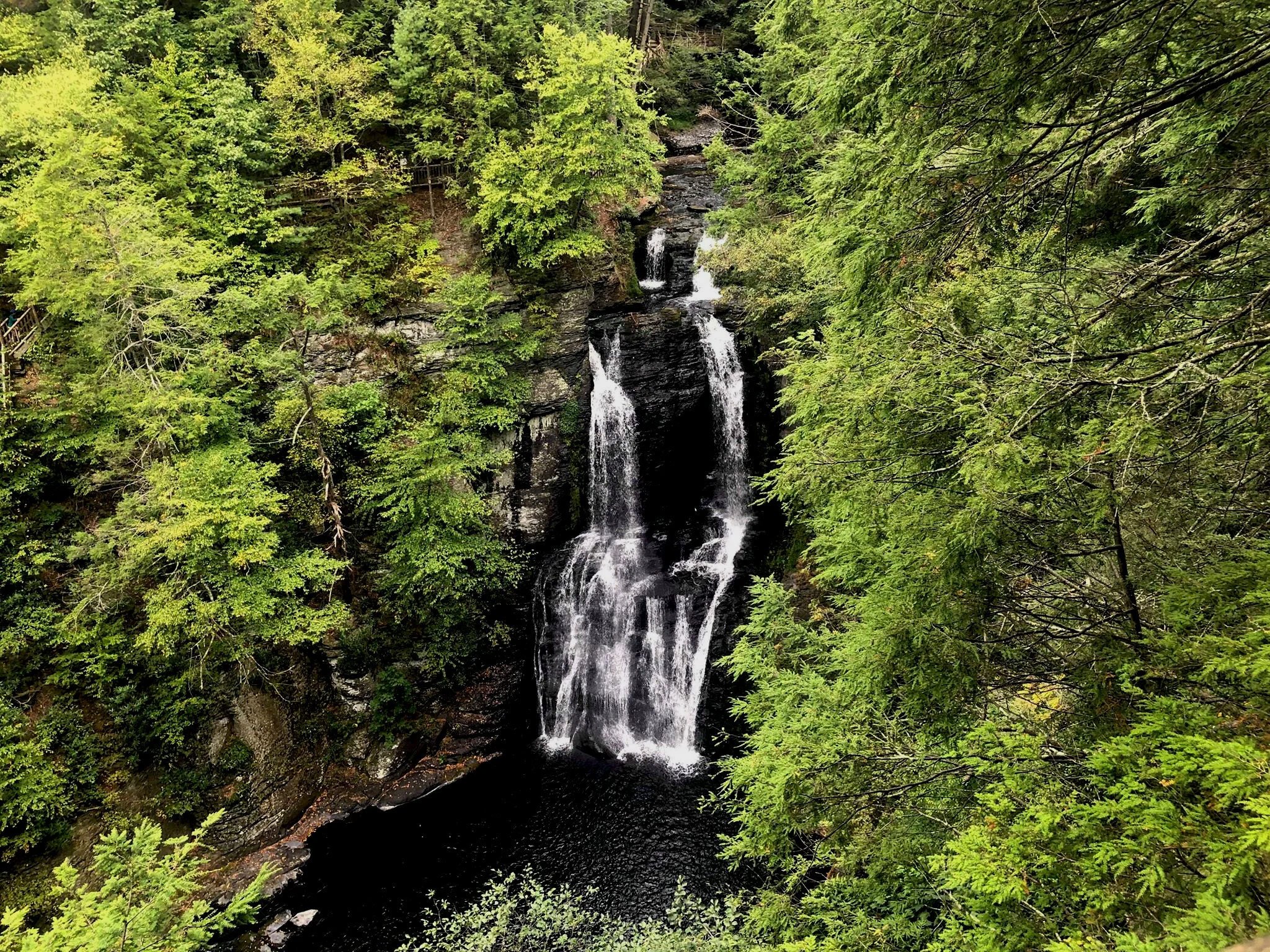 Are Dogs Allowed At Bushkill Falls