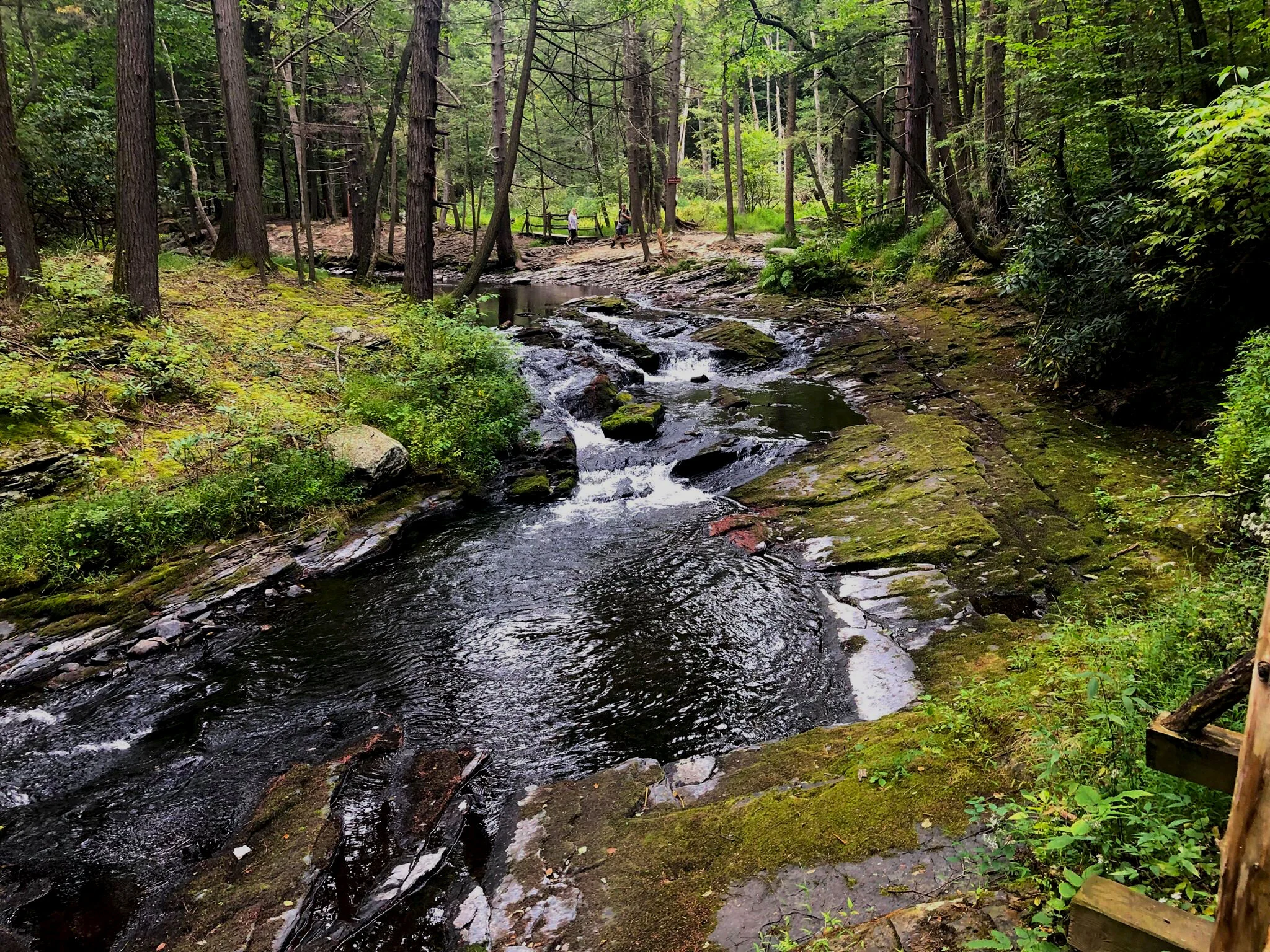 Are Dogs Allowed At Bushkill Falls