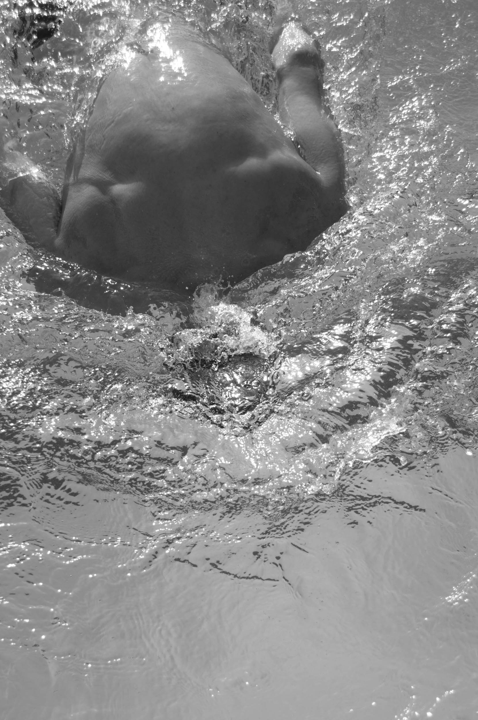 DSC_0499-3swimming shots 2.jpg