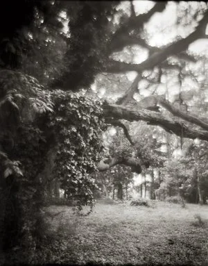 Photographs by N.C. artist Linda Foard Roberts are on view May 10-June 23 at Soco Gallery. 