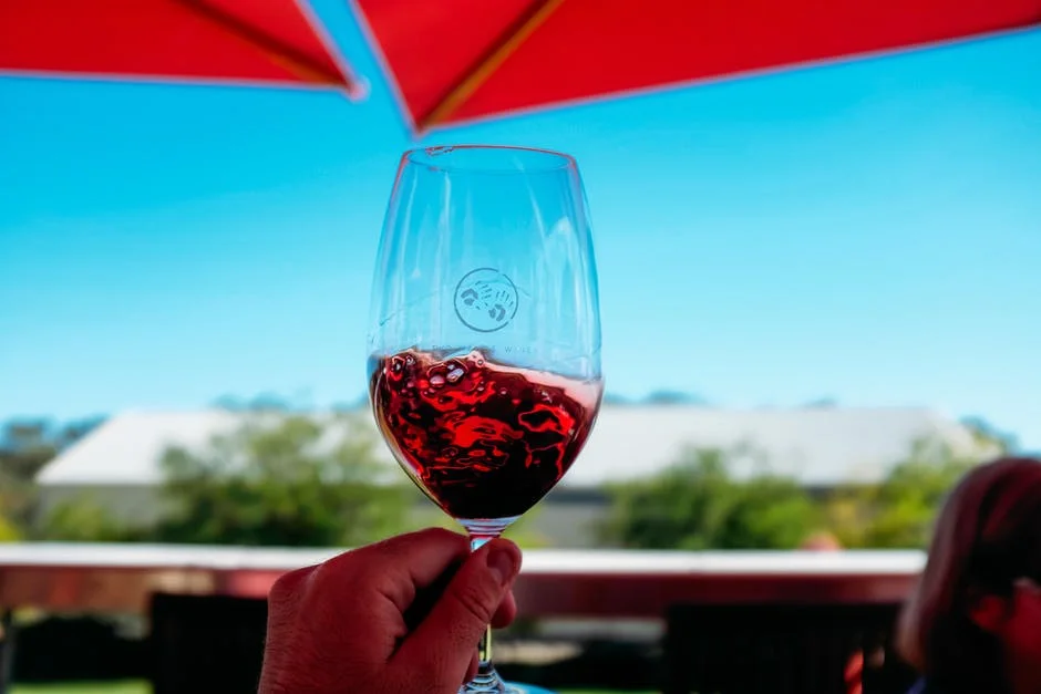 Cheers to frozen wine cubes! 