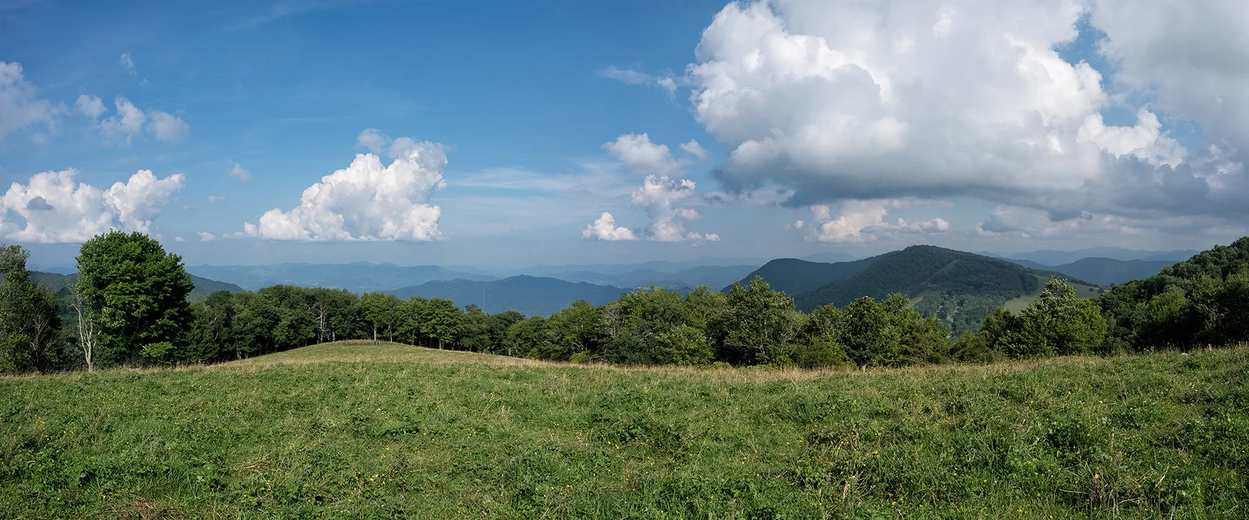 Experience the Aug. 21 eclipse with 360 degrees of open, unobstructed views in a meadow a mile high on Fie Top Mountain during a private celebration at Cataloochee Ranch in Maggie Valley. 