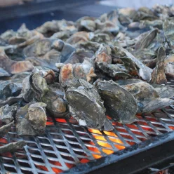 Historic Rosedale's annual Oyster Roast fundraiser is March 25. 