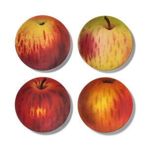  John Derian Apple Print Melamine Salad Plate, Set of Four, $10. 