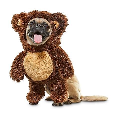 Teddy Bear Dog Costume, $10.99 (was $21.99). 