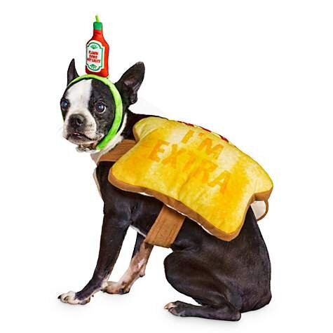  Toast of the Town Dog Costume, $10.99 (was $21.99). 