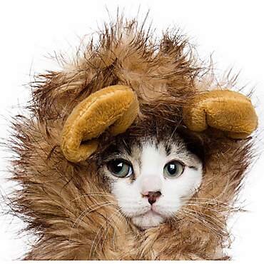  Lion Mane Cat Costume, $7.41 (was $14.99). 