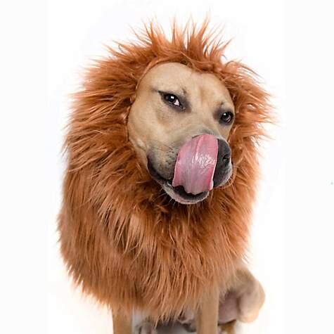  Lion Mane Costume for Dogs, $8.71 (was $15.99).  