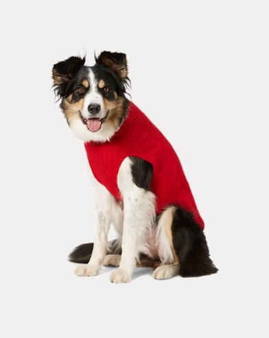   CABLE CASHMERE DOG SWEATER: Patterned after one of Ralph Lauren’s signature sweaters, this luxe layer for larger breeds comes in 4 colors (red, pink, green and blue). $195.    ralphlauren.com.   