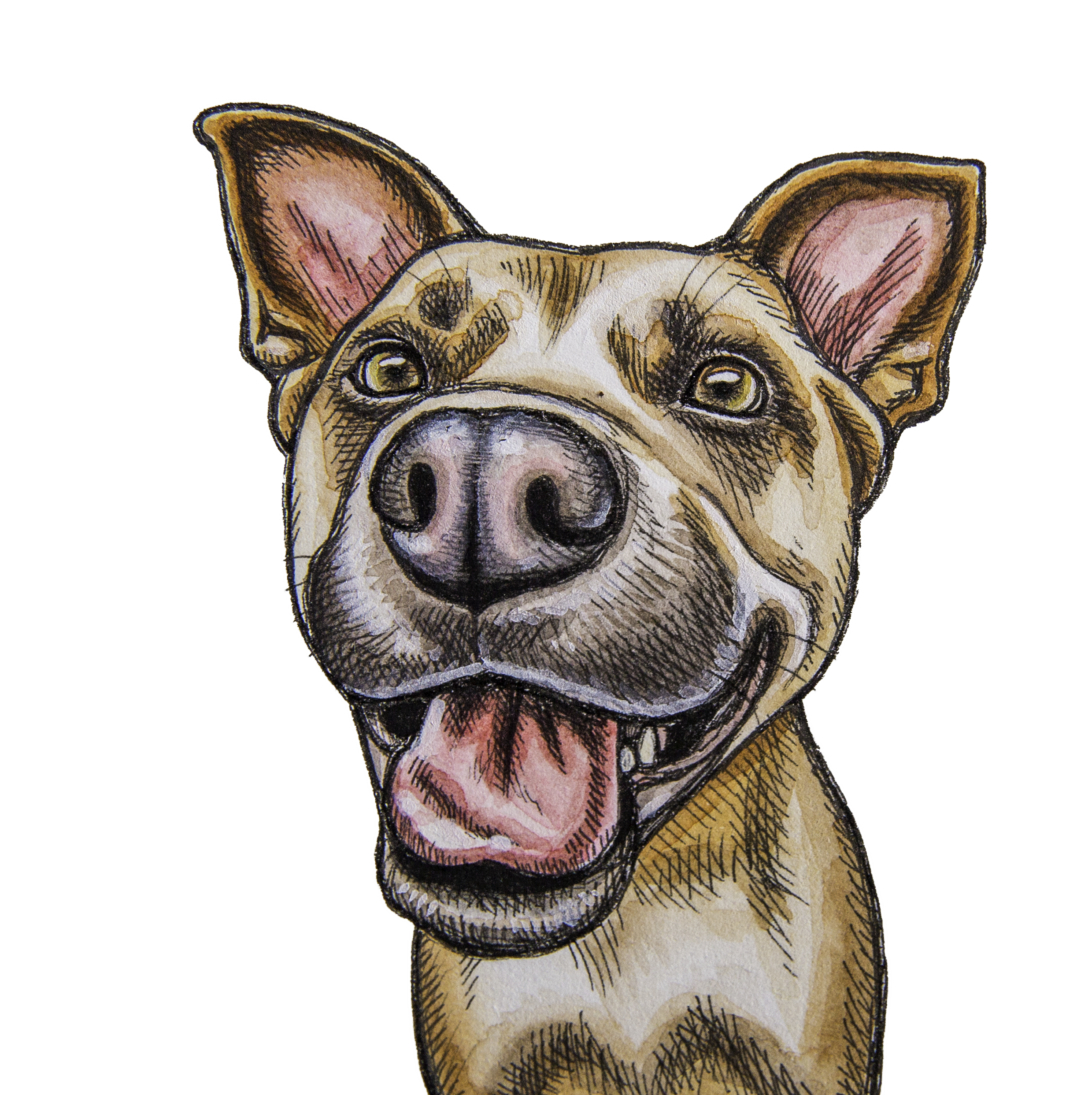 smile_lesstransp.png