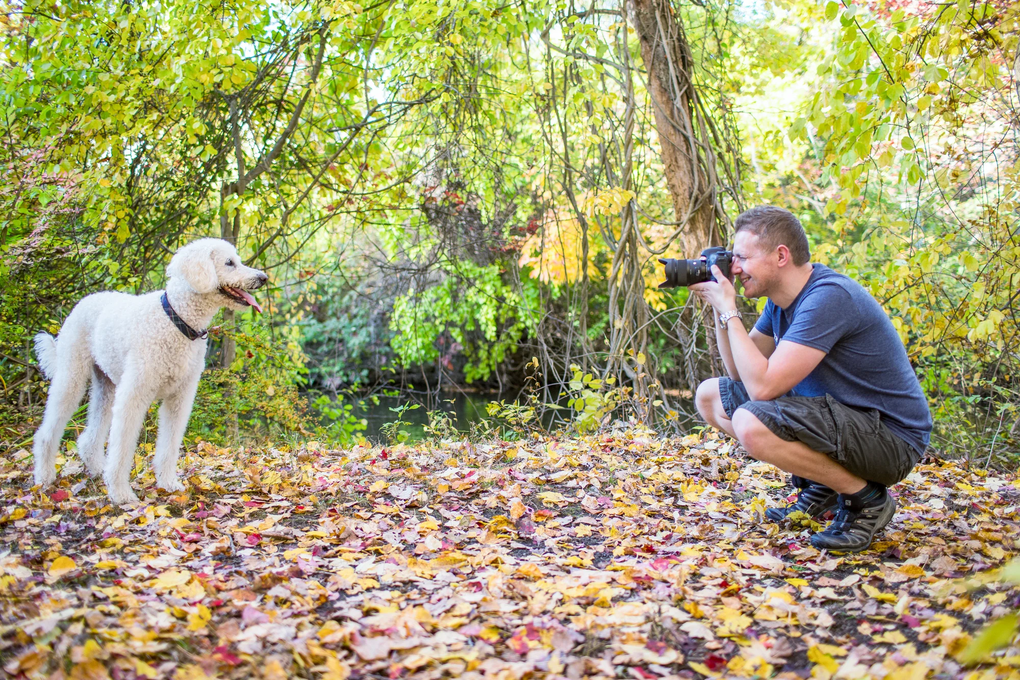 The-dog-with-a-bow-photography-calgary-cochrane-18.jpg