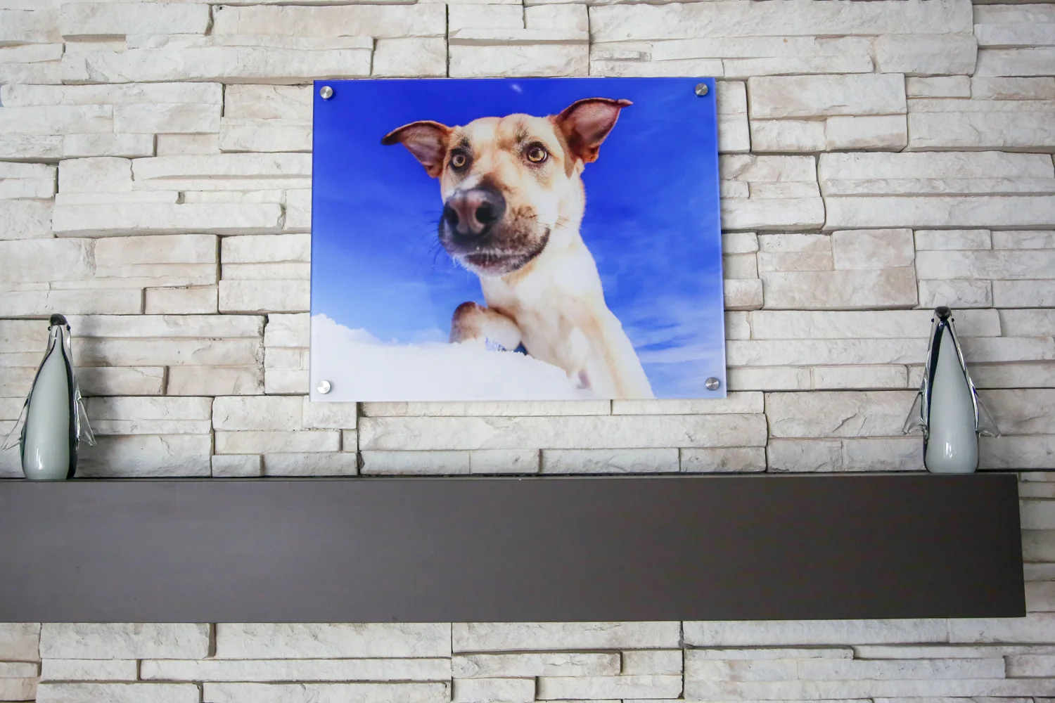 Modern Acrylic of a cattle dog in the snow.jpg