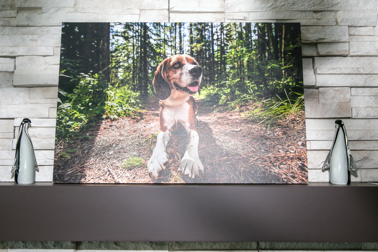 Premium Canvas Wrap of beagle dog in grass.jpg