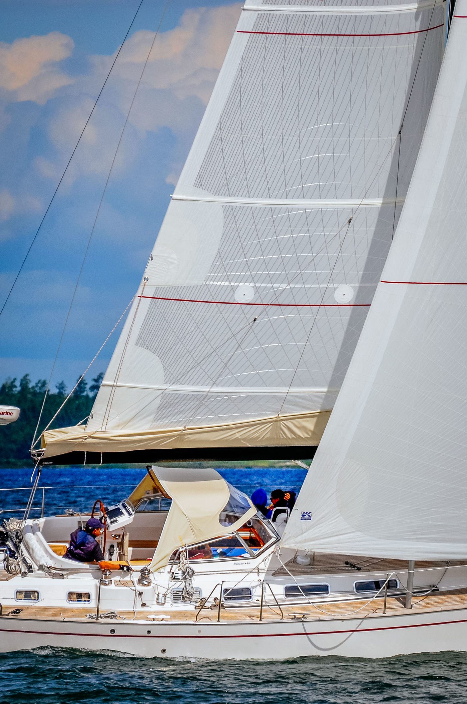 Tape-Drive Silver mainsail and genoa. Click to enlarge.