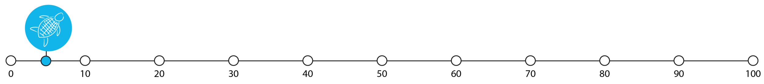 5%.png