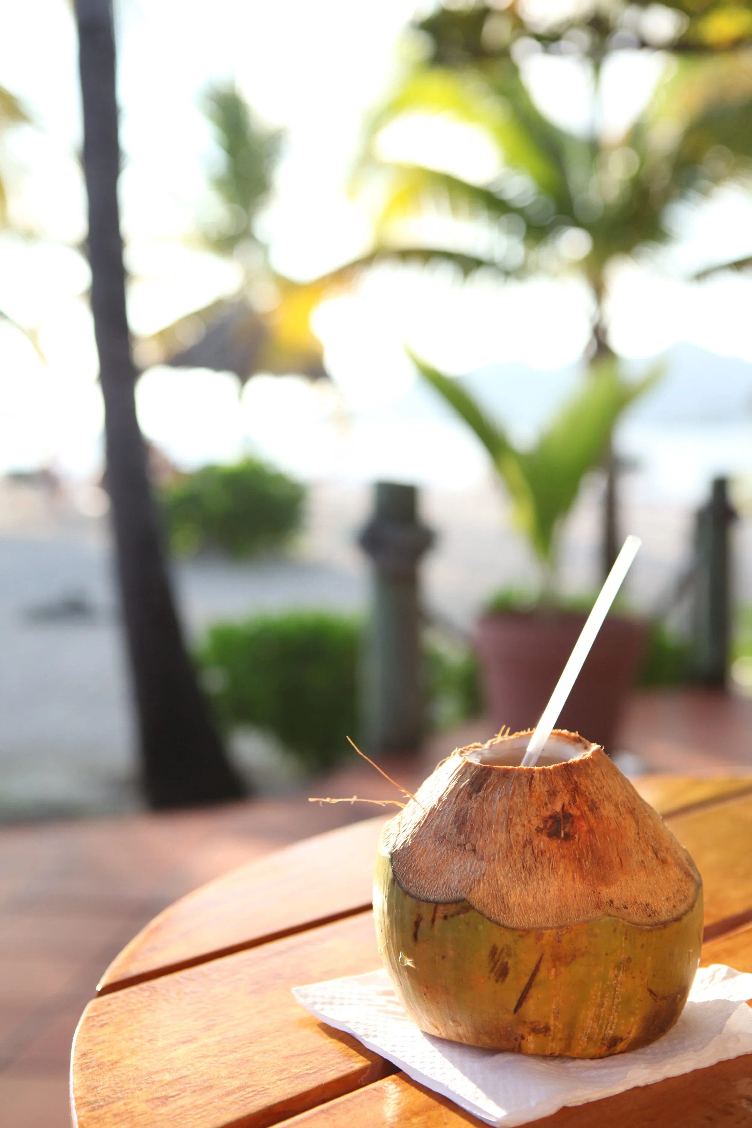 Palm Island_IMG_4932.JPG