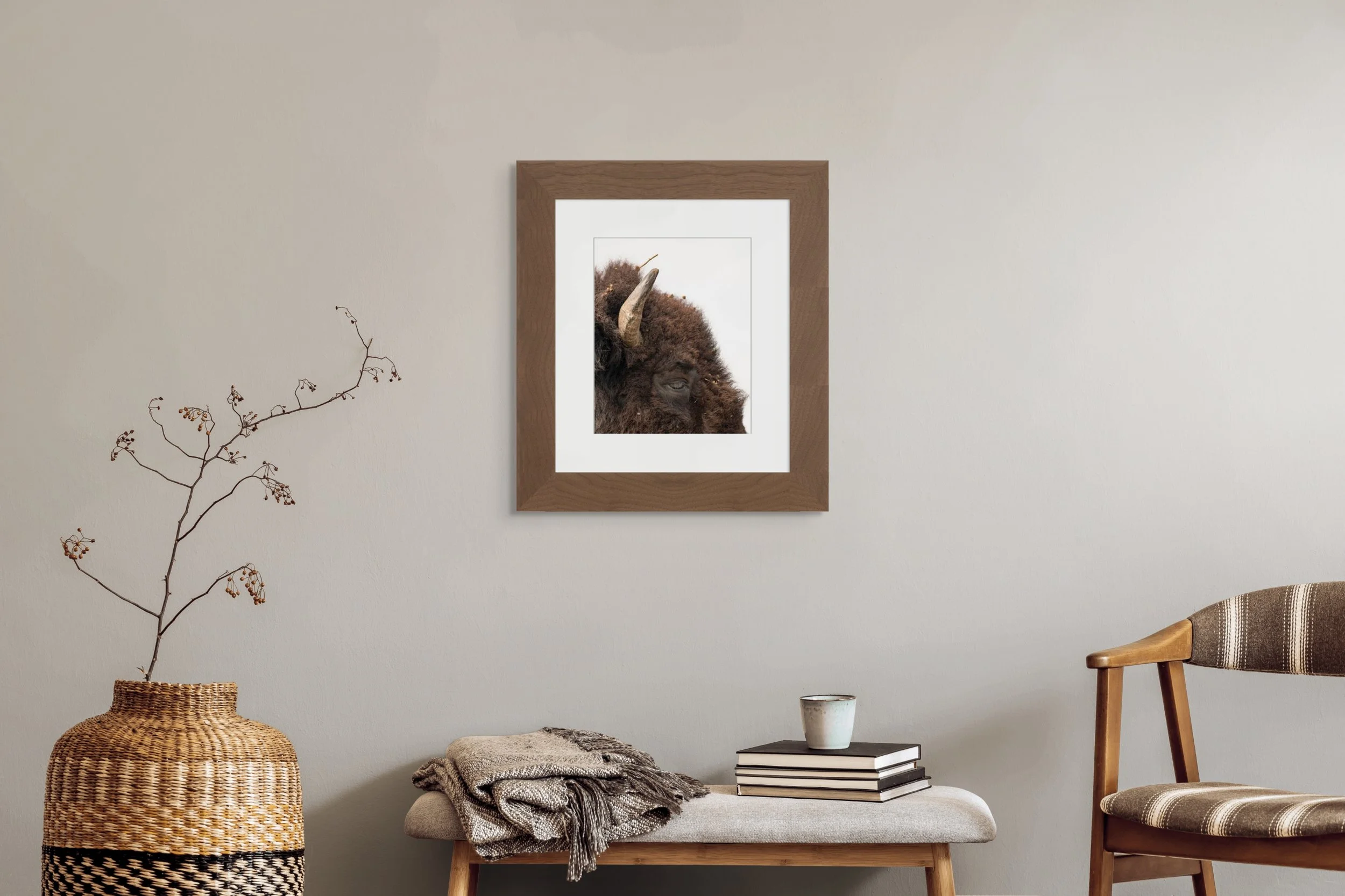 american bison in profile.jpg